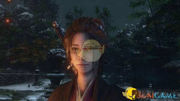 《只狼：影逝二度》秘籍的分类和介绍